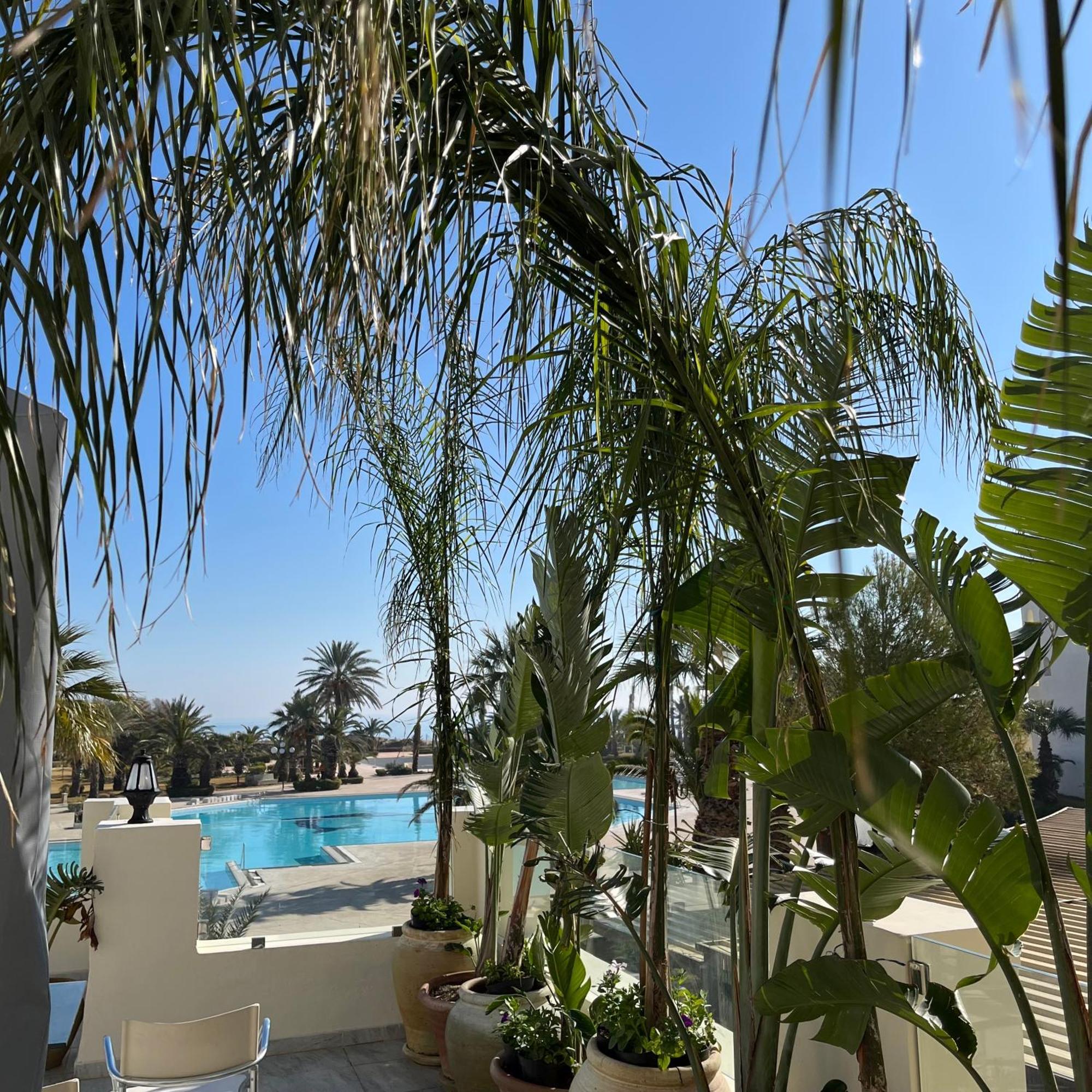 Sentido Marillia Resort & Spa Yasmine Hammamet Luaran gambar